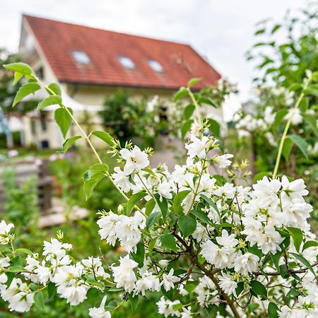 Beutenmuehle Straussenfarm Dach Owingen Zewnętrze zdjęcie