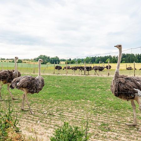 Beutenmuehle Straussenfarm Dach Owingen Zewnętrze zdjęcie