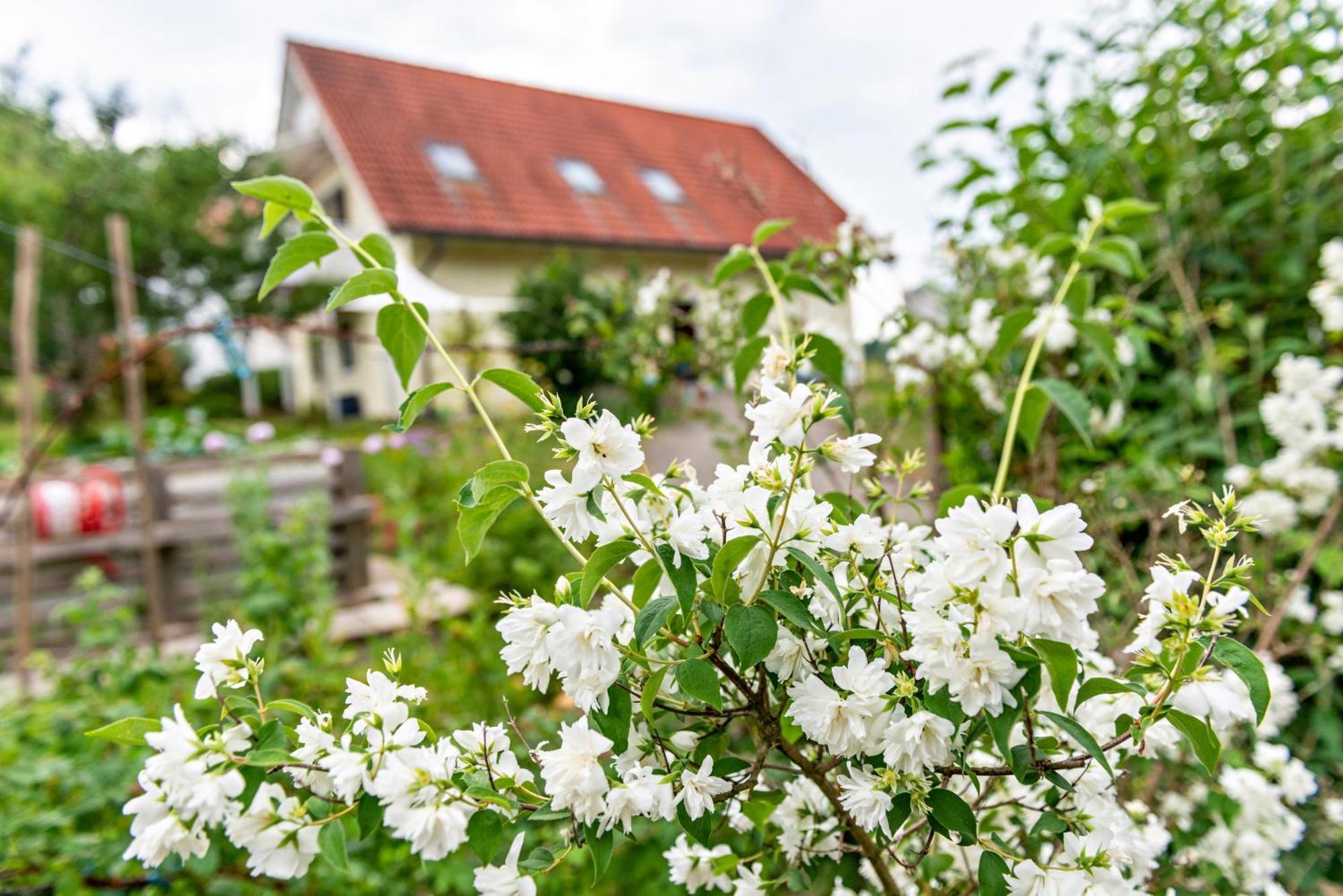 Beutenmuehle Straussenfarm Dach Owingen Zewnętrze zdjęcie